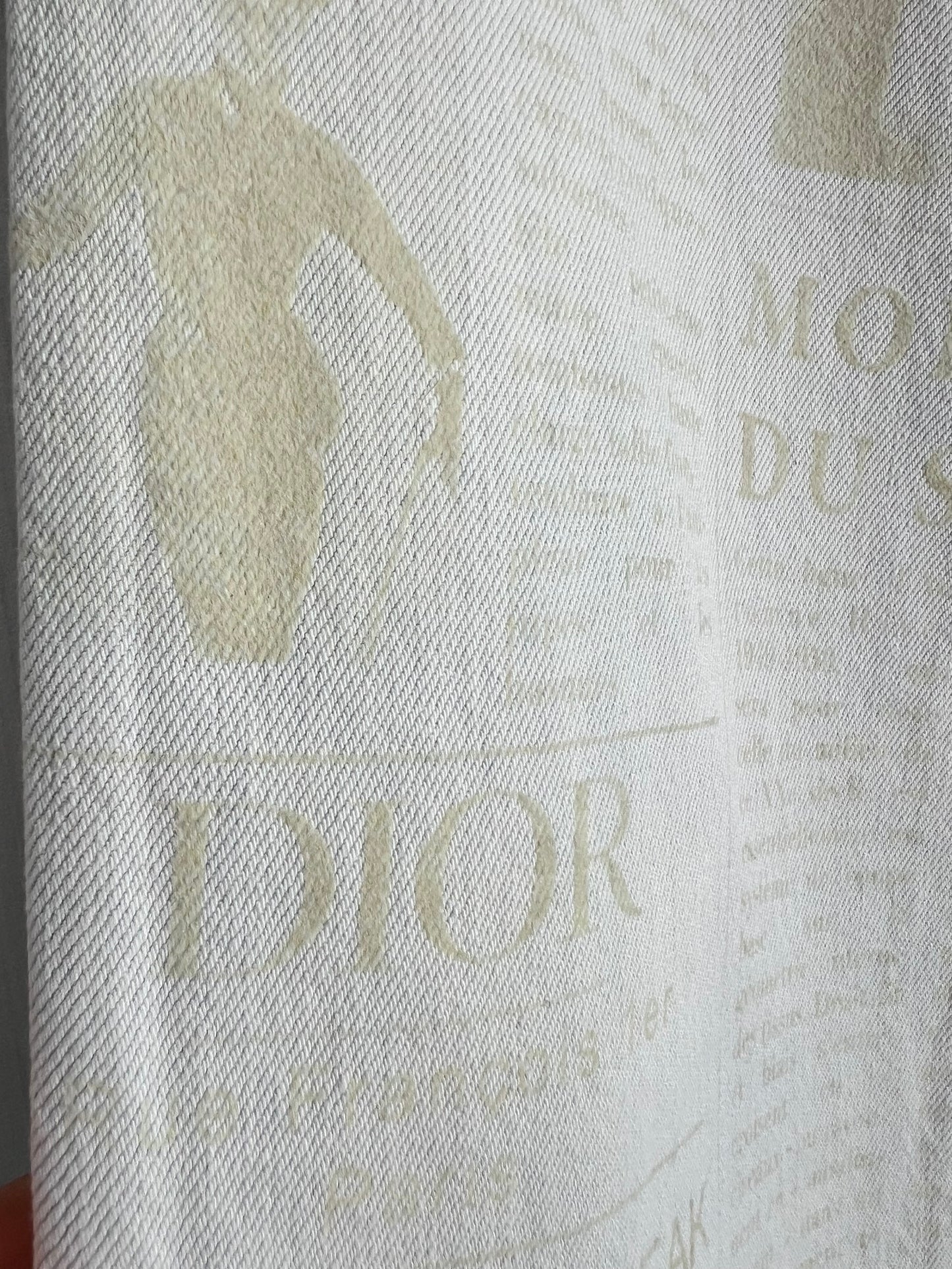 Christian Dior SAMPLE Gazette Print Faded Blue Denim Jeans