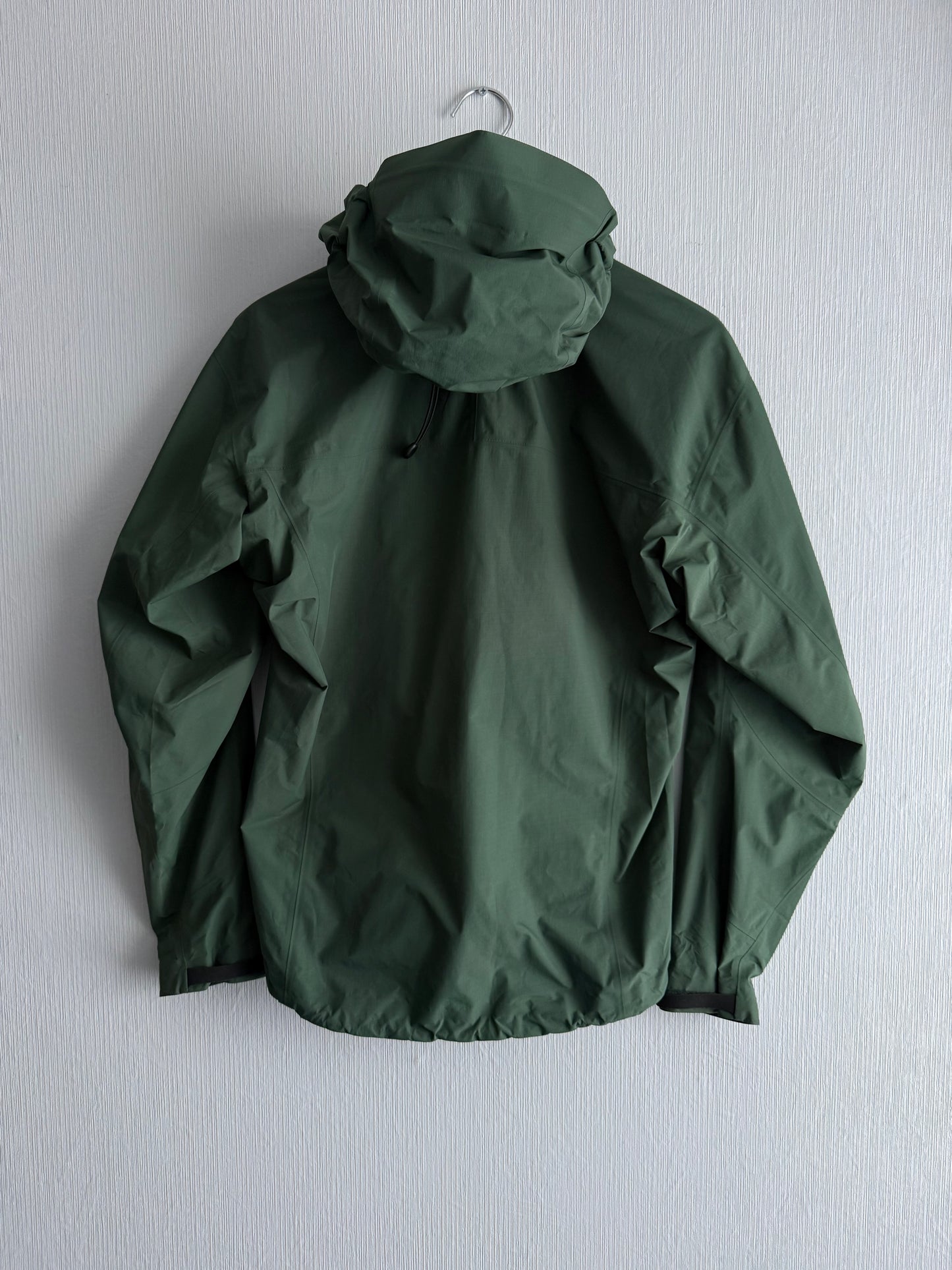 Arc'teryx Beta SL Gore-Tex Shell Jacket in Cypress Green